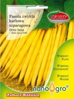 FASOLA ZWYKA KAROWA ZOTA SAXA - 30 g nasiona NANO GRO TORSEED